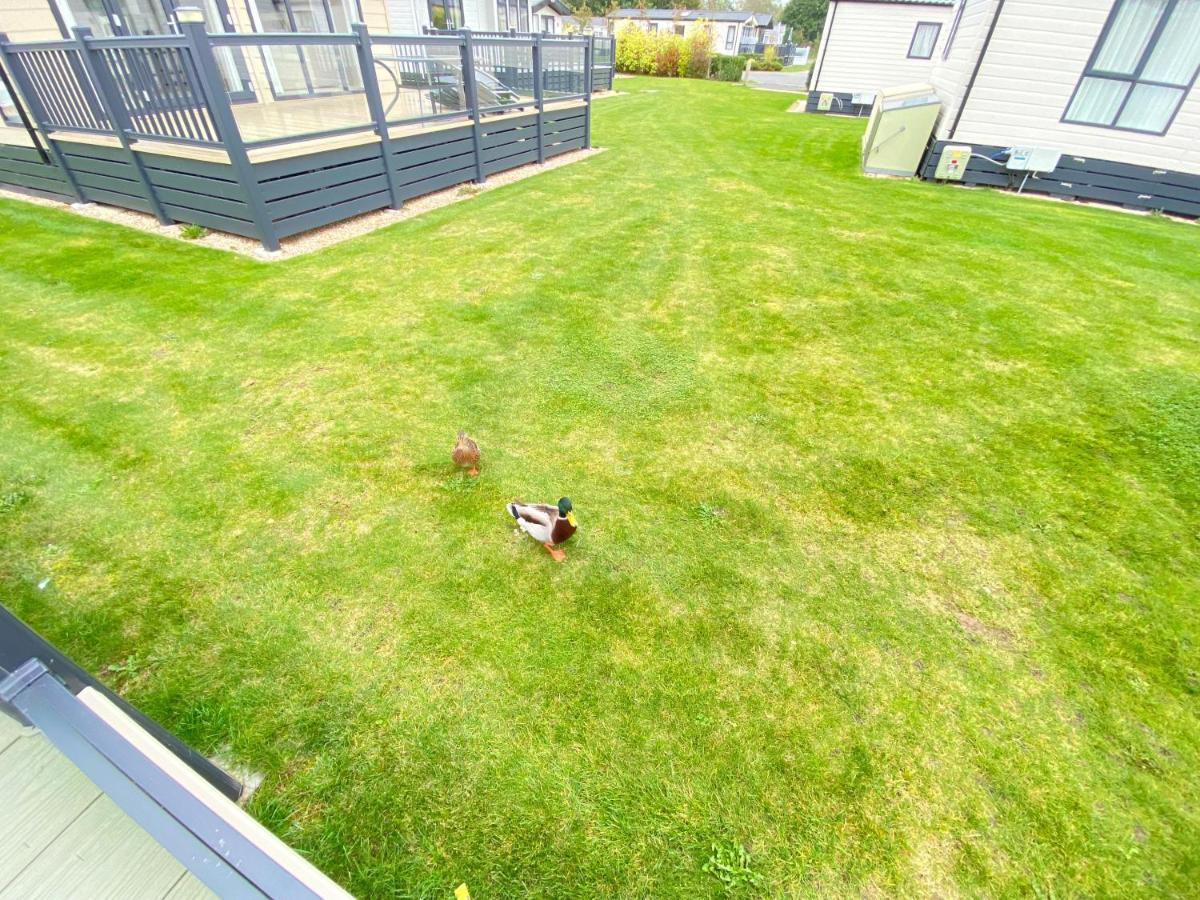 Wildflower, Premium Plus Hot Tub Lodge South Cerney Kültér fotó